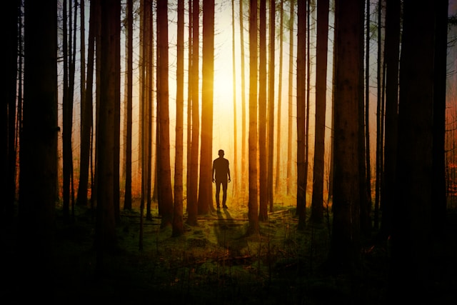 Mystery_Thriller