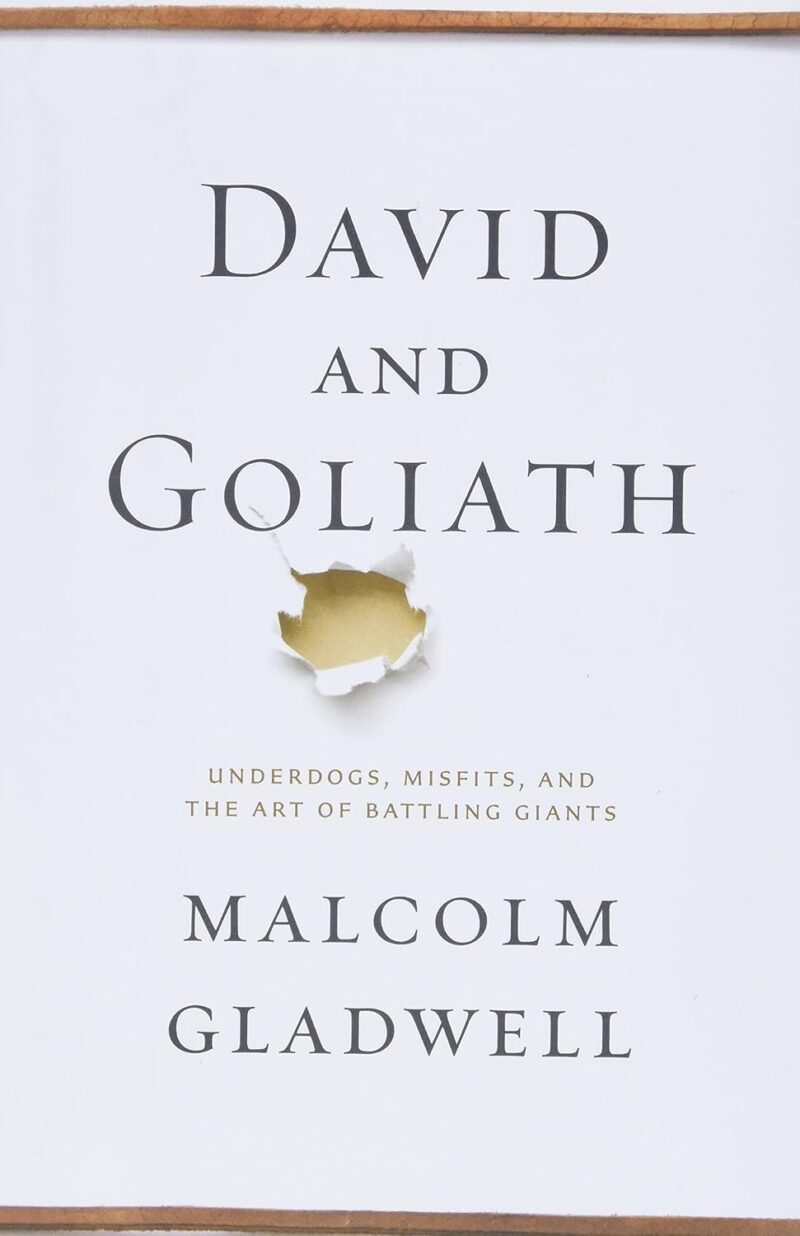 61TIJofp1US._SL1500_.jpg David and Goliath - David and Goliath -