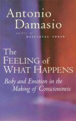 The Feeling of What Happens