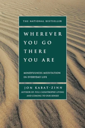 Wherever You Go There You Are book by Jon Kabat-Zinn