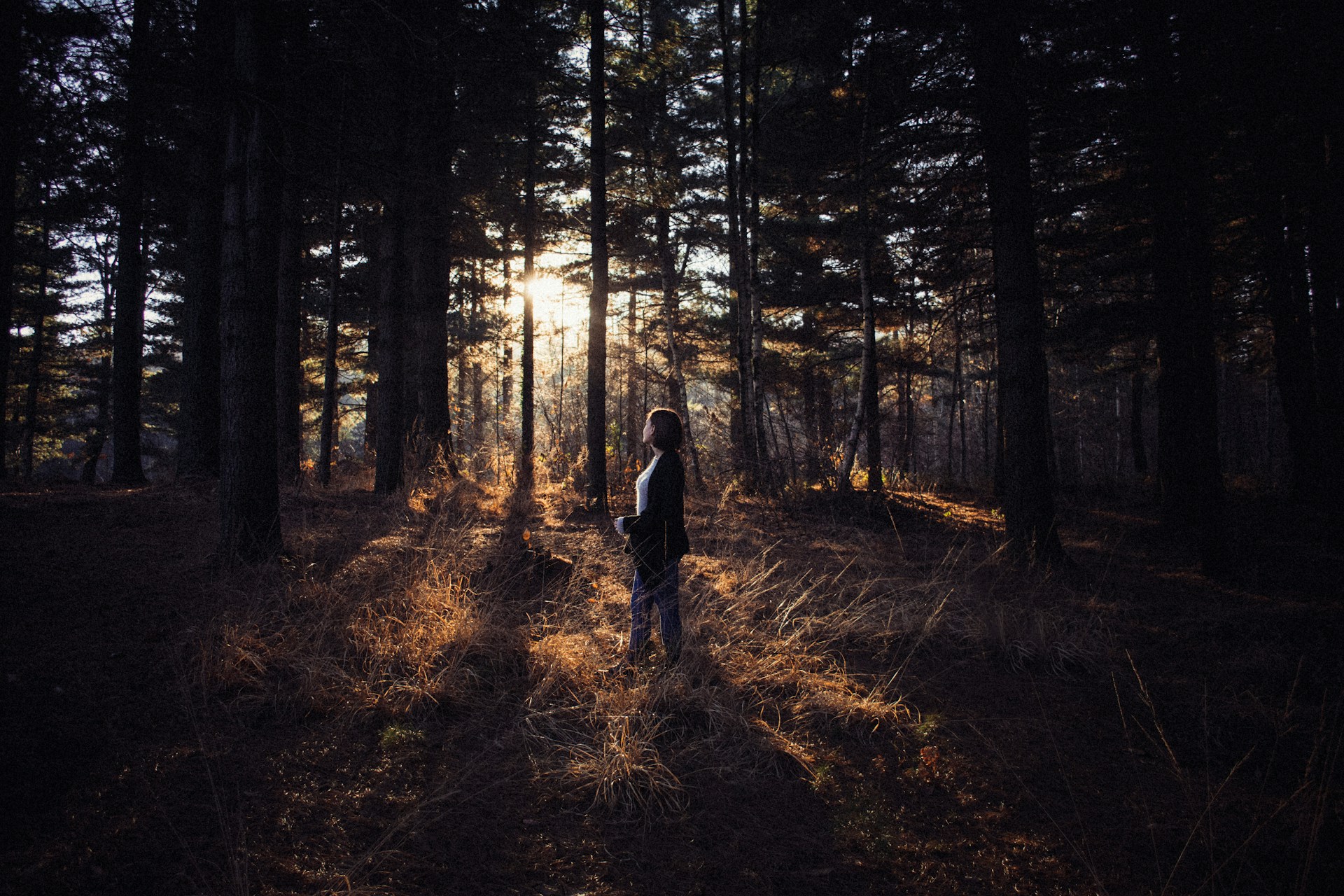 detective en el bosque
