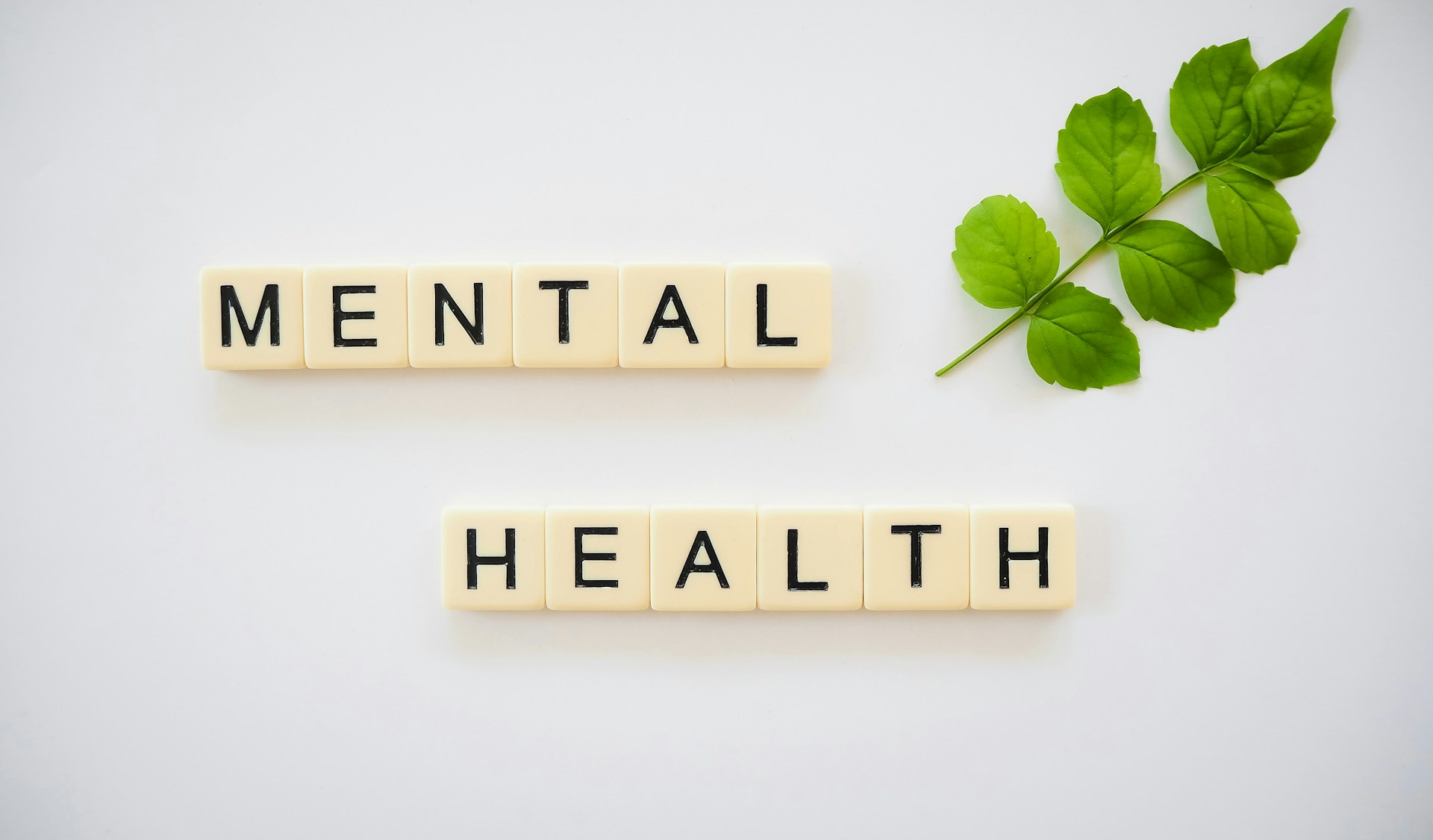 importancia de la salud mental